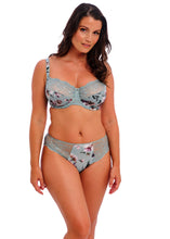 Load image into Gallery viewer, Fantasie Pippa Brief (Meadow)