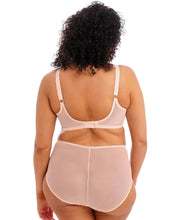 Load image into Gallery viewer, Elomi Matilda Plunge Bra (Pearl Blush)