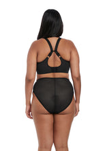 Load image into Gallery viewer, Elomi Charley Uw Stretch Plunge EL4382 (Black) (Fawn)