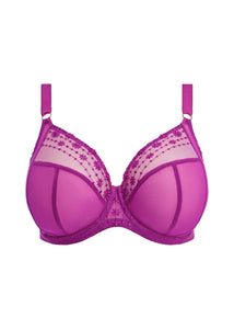 Elomi Matilda Plunge Bra (Hollyhock)