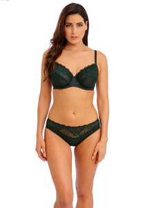 Wacoal Lace Perfection Brief (Botanical Green)