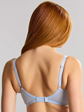 Load image into Gallery viewer, Panache Ana Stretch Lace Plunge Bra (Cornflower)

