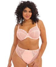 Load image into Gallery viewer, Elomi Charley Uw Stretch Plunge EL4382 (Ballet Pink)
