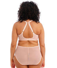 Load image into Gallery viewer, Elomi Matilda Plunge Bra (Pearl Blush)
