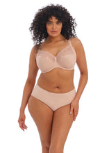 Load image into Gallery viewer, Elomi Morgan Bra (Black) (Sahara)
