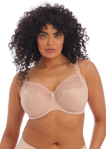 Elomi Morgan Bra (Black) (Sahara)
