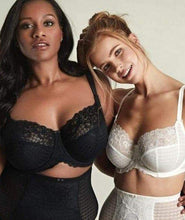 Load image into Gallery viewer, Panache Envy Full Stretch Lace Cup Bra - IVORY
